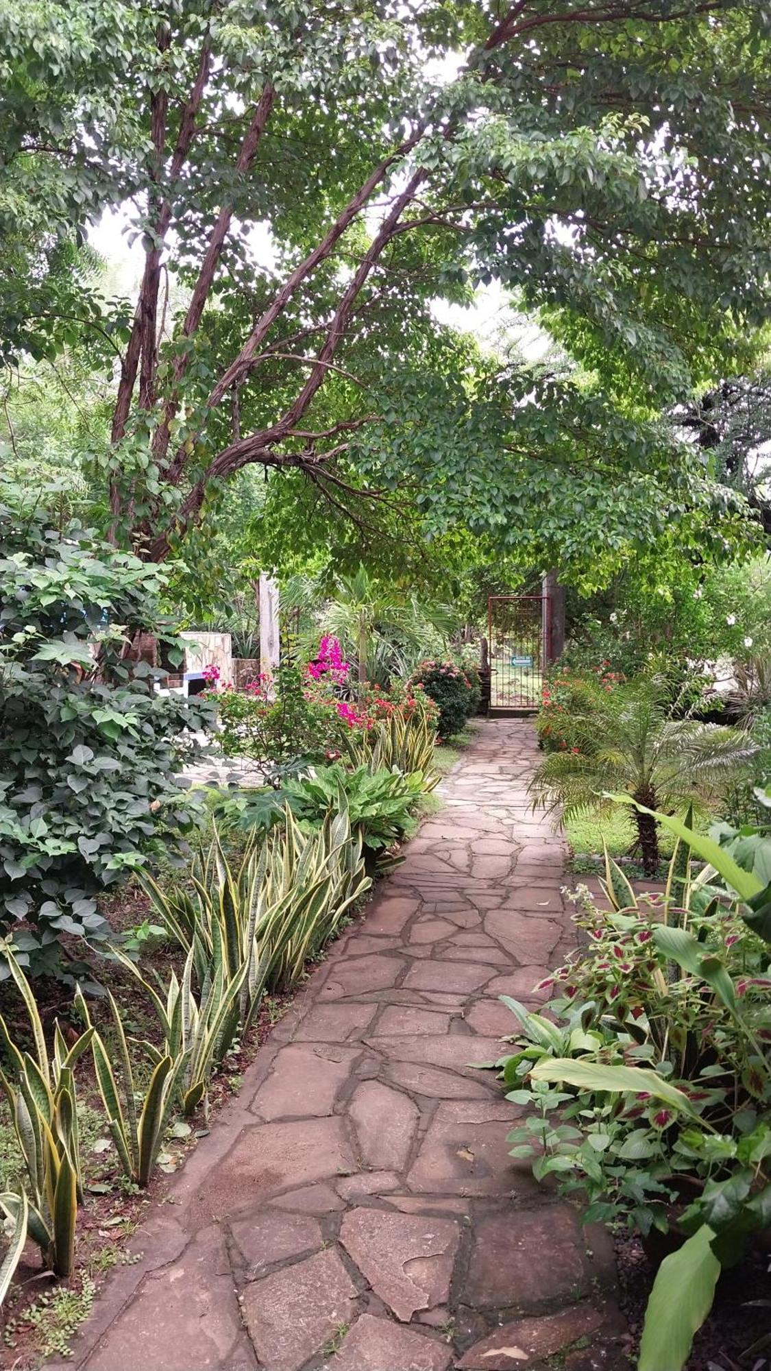 Casa Todo Bueno Acomodação com café da manhã Transito Exterior foto