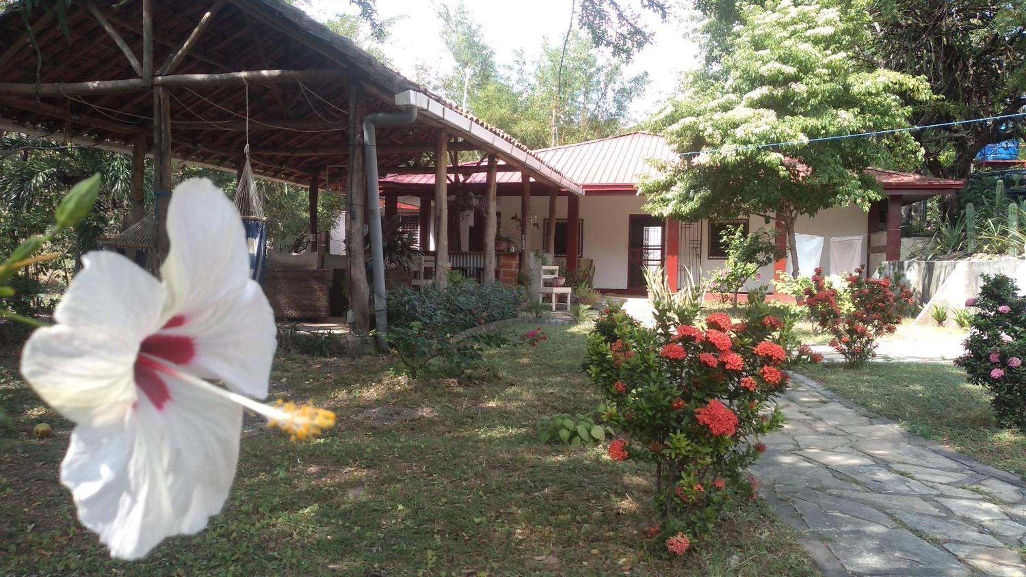 Casa Todo Bueno Acomodação com café da manhã Transito Exterior foto